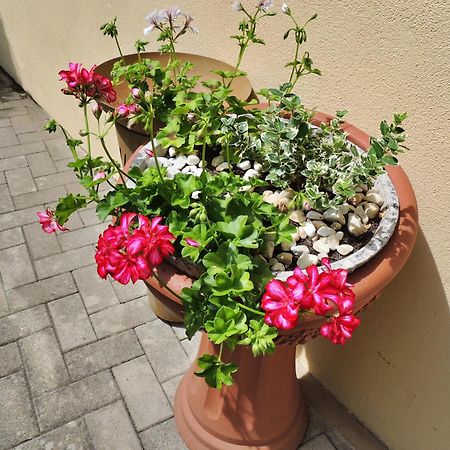 Ferienwohnung Goethe Бернкастель-Кюс Экстерьер фото